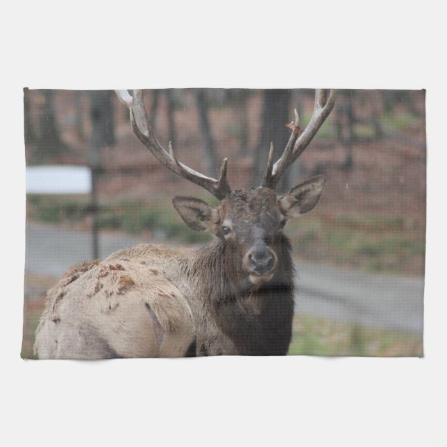 Elk Kitchen Handtuch (Horizontal)