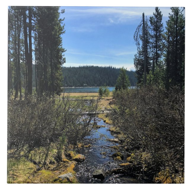 Elk Lake, OR Fliese (Vorderseite)