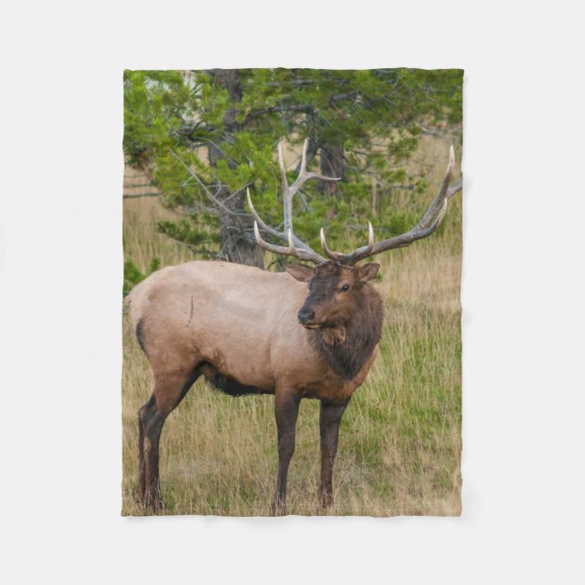 Elk Lake Village Yellowstone Nationalpark Wyoming Fleecedecke (Vorderseite)