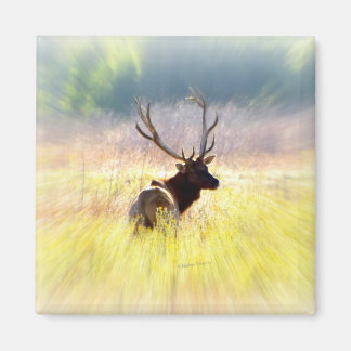 Elk "Looking Back" Magnet