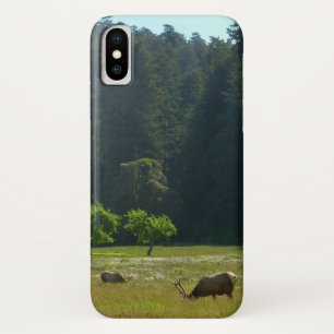 Elk Meadow im Redwood-Nationalpark Case-Mate iPhone Hülle