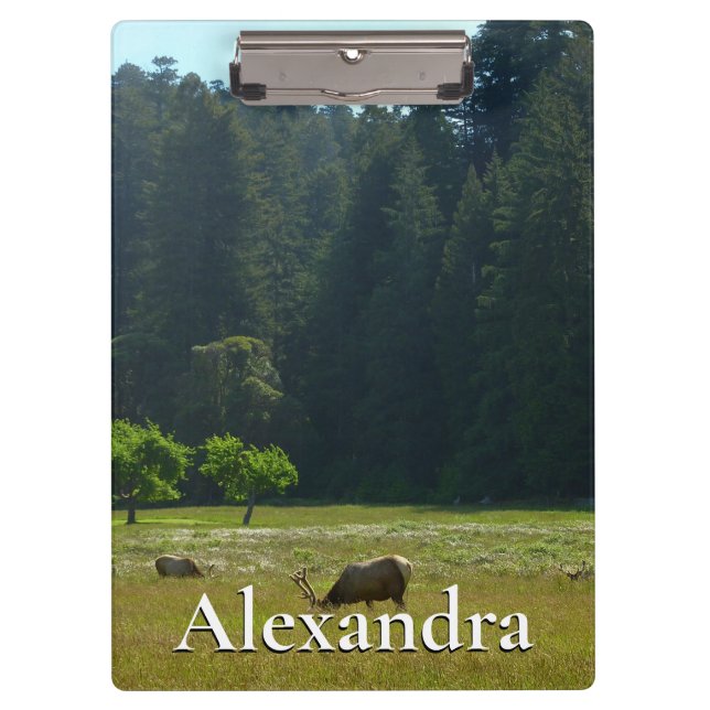 Elk Meadow im Redwood-Nationalpark Klemmbrett (Vorderseite)