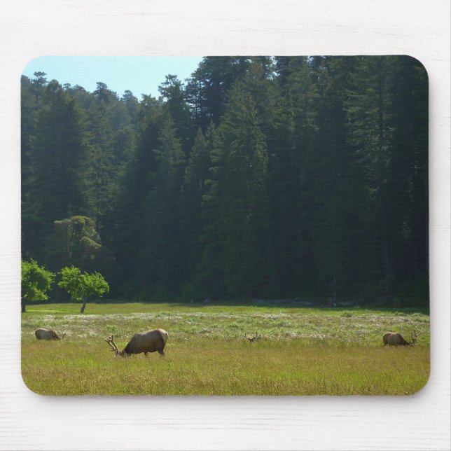 Elk Meadow im Redwood-Nationalpark Mousepad (Vorne)