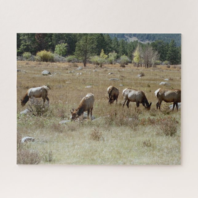 Elk-Puzzle (Horizontal)