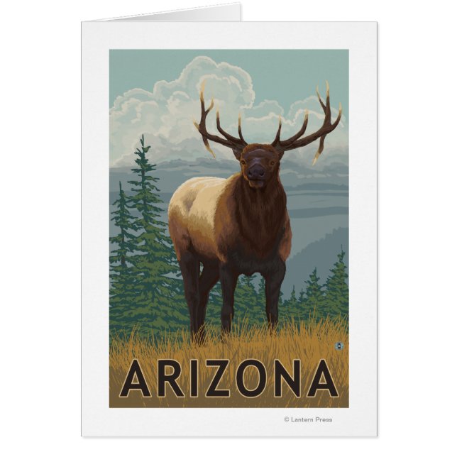 Elk SceneArizona (Vorne)