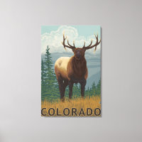 Elk SceneColorado