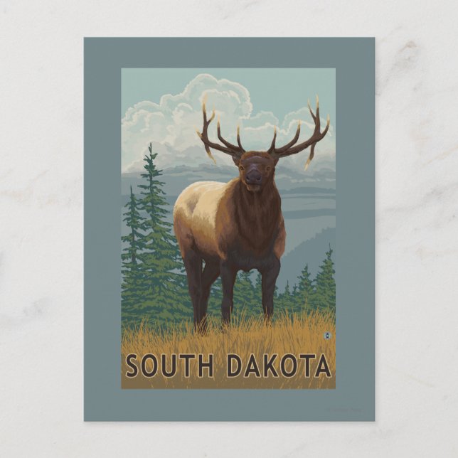 Elk SceneSouth Dakota Postkarte (Vorderseite)