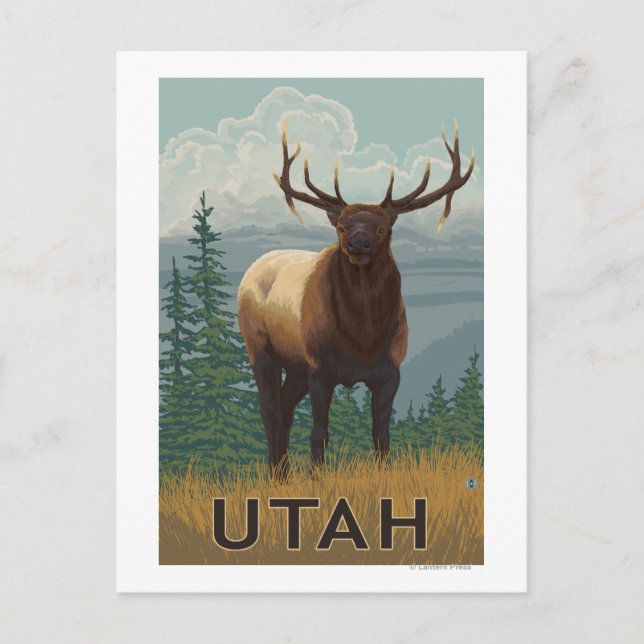 Elk SceneUtah Postkarte (Vorderseite)