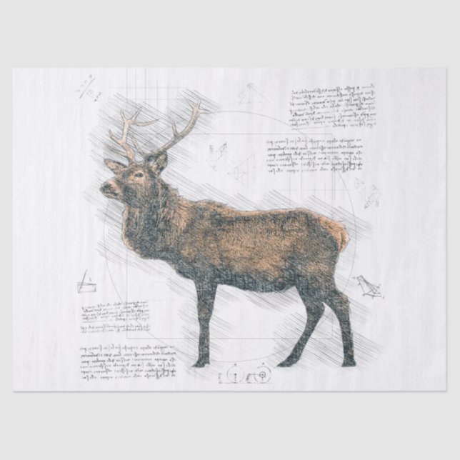 Elk Stag Zeichnend Seidenpapier (Vorderseite)