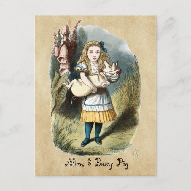 Elke der Kinderheilkunde, Baby Pig im Wunderland Postkarte (Vorderseite)
