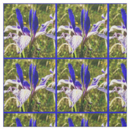 Elkhorn Mountain Iris Stoff