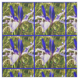 Elkhorn Mountain Iris Stoff