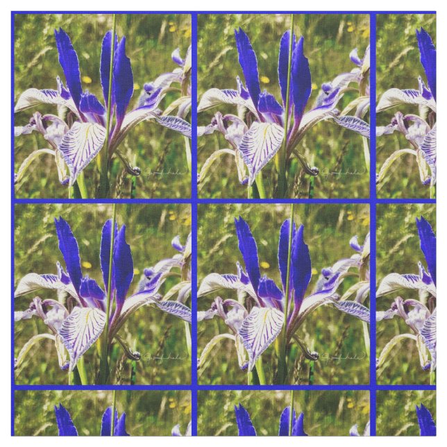 Elkhorn Mountain Iris Stoff (Muster)