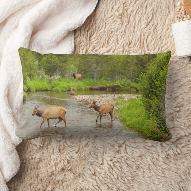 Elks überqueren den Colorado-Fluss Lendenkissen (Decke)