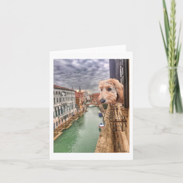 Ella Bella Banana Karo der Blick auf den Venedig K Dankeskarte (Vorderseite)