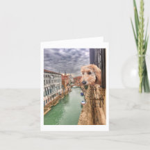 Ella Bella Banana Karo der Blick auf den Venedig K