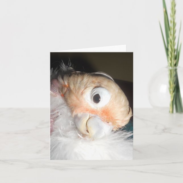 Ella Glamour Karte (Vorderseite)