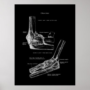 Ellbogen Gelenkanatomie Orthopädische Wanddekor Poster