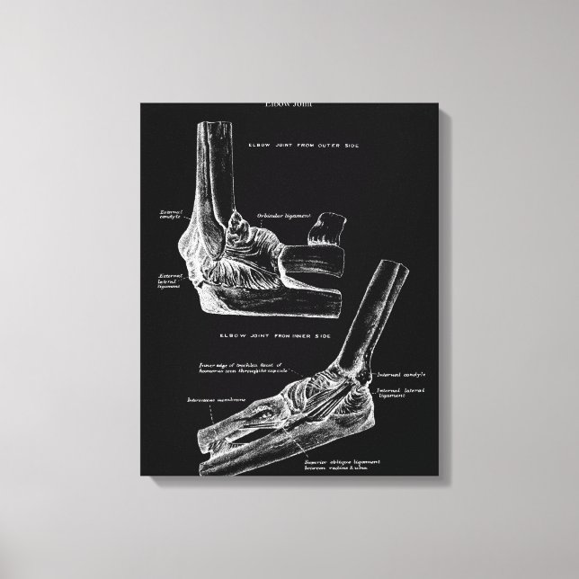 Ellbogen Gemeinsame Anatomie Leinwand Art (Vorderseite)