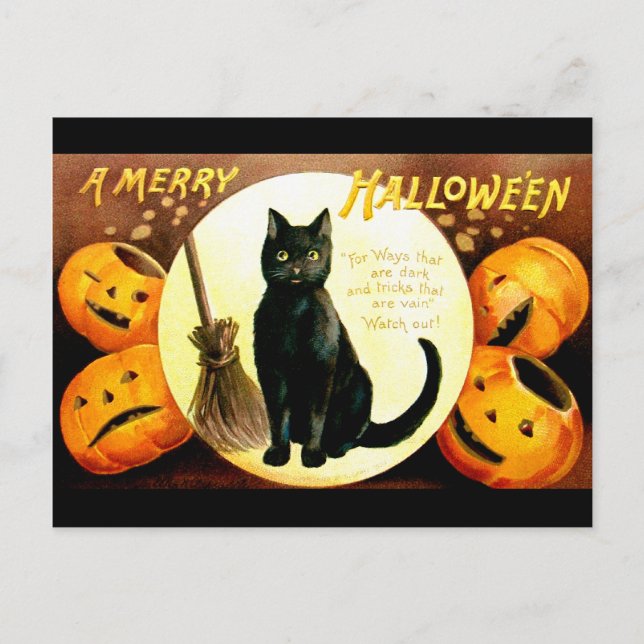 Ellen H. Clapsaddle: Halloween-Katze Postkarte (Vorderseite)