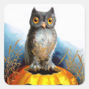 Ellen H. Clapsaddle: Halloween Owl Quadratischer Aufkleber