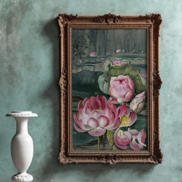 Ellis Rowan Sacred Lotus Water Lily Vintage Blume Poster