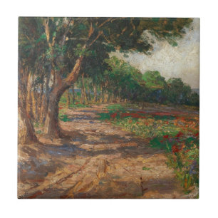 Elm gesäumte Promenade in Euxinograd Fliese