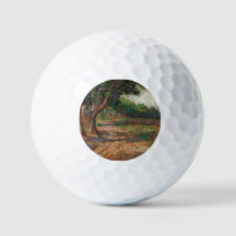 Elm gesäumte Promenade in Euxinograd