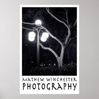 Elm und Lamppost Poster