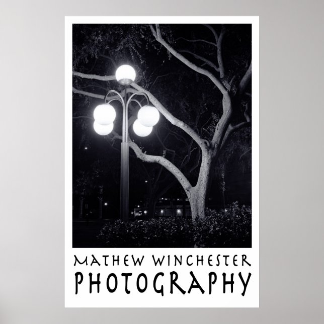 Elm und Lamppost Poster (Vorne)