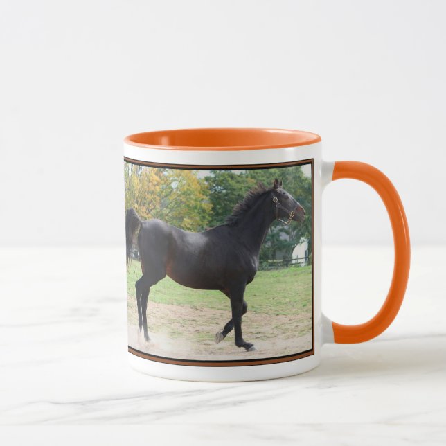 Elmhurst - gagnant de sprint de tasse de "97 (Droite)