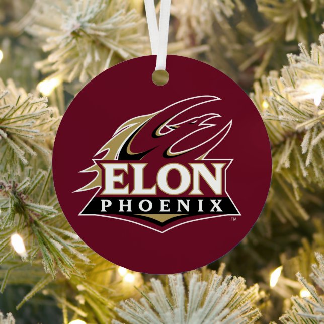 Elon Phoenix Ornament Aus Metall (InSitu)
