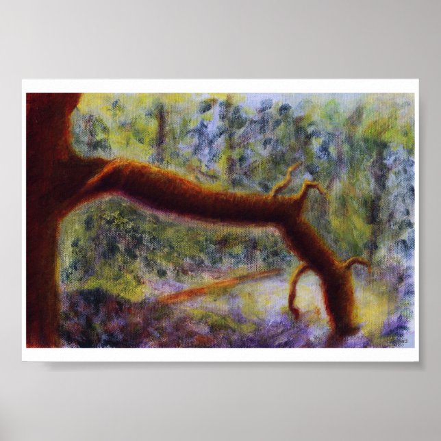 Elora Gorge, Poster (Vorne)