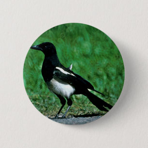 Elster Button