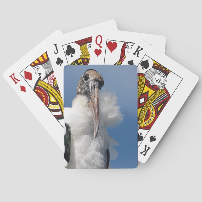 Elvis - hölzerner Storch - Spielkarten (Rückseite)