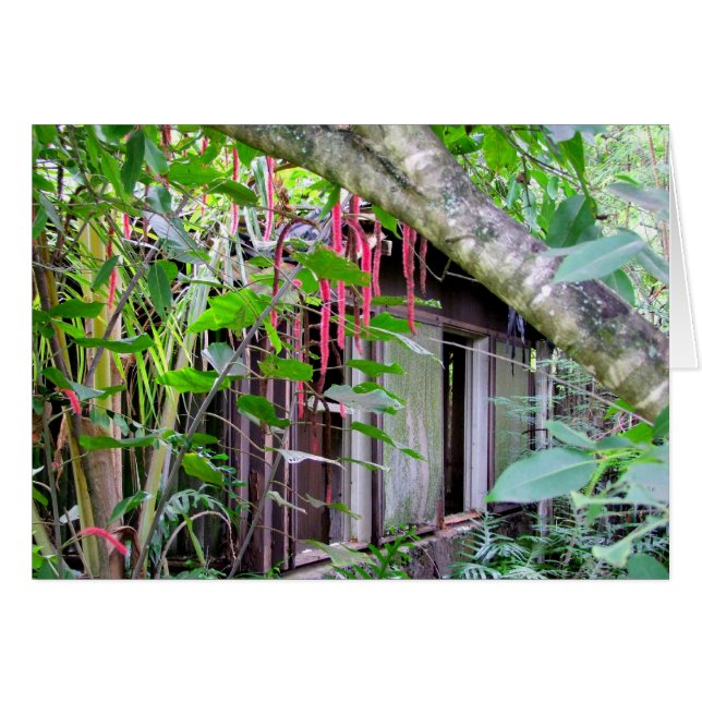 Elvis Presley Bungalow (Devant horizontal)