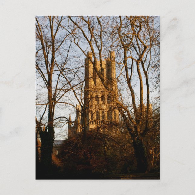 Ely Cathedral Postkarte (Vorderseite)
