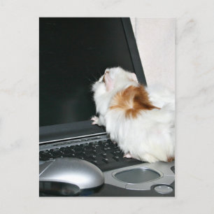 Email mir! postkarte