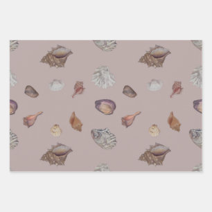 Emballage cadeau de coquillages neutres