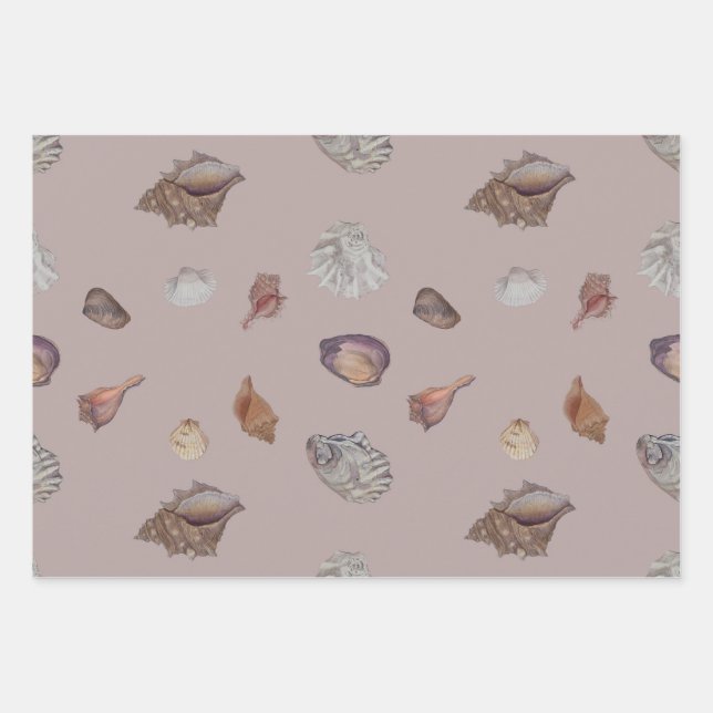 Emballage cadeau de coquillages neutres (Devant)