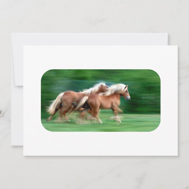 Emballage des invitations de palomino (Devant)