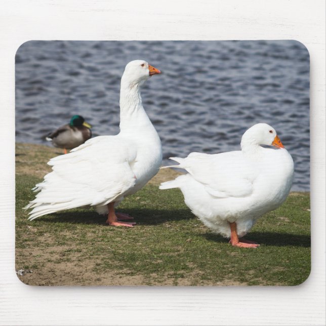 Embden Geese Mousepad (Vorne)