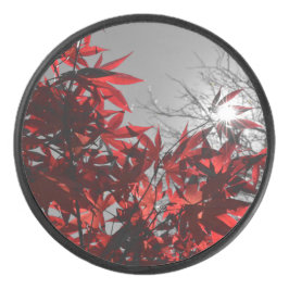 Embers of Autumn Eishockey Puck