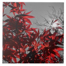 Embers of Autumn Fliese