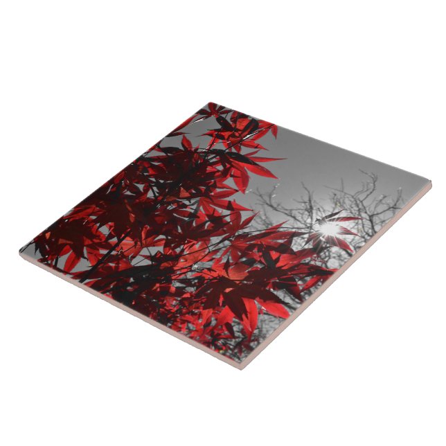 Embers of Autumn Fliese (Seite)