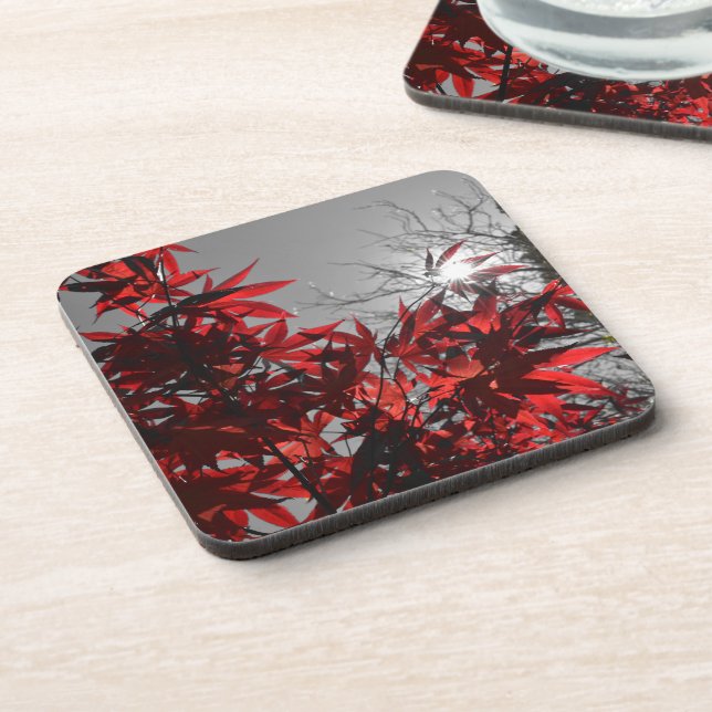 Embers of Autumn Getränkeuntersetzer (Linke Seite)