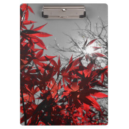 Embers of Autumn Klemmbrett