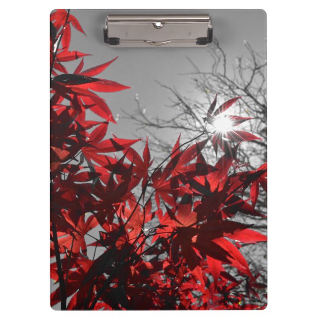 Embers of Autumn Klemmbrett (Vorderseite)