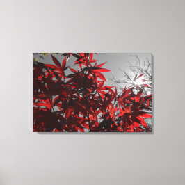 Embers of Autumn Leinwanddruck