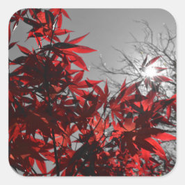 Embers of Autumn Quadratischer Aufkleber